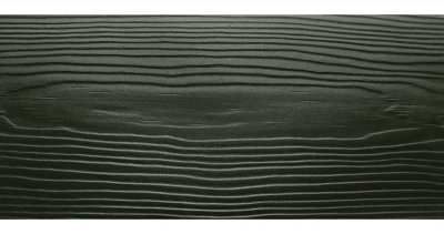 Сайдинг CEDRAL wood (под дерево) С31